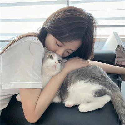 没有具必秀